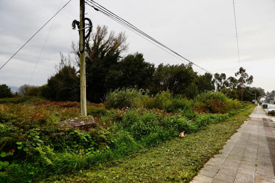 Retiran un lote de fincas de la subasta de bienes de Marcial Dorado a petición de A Illa