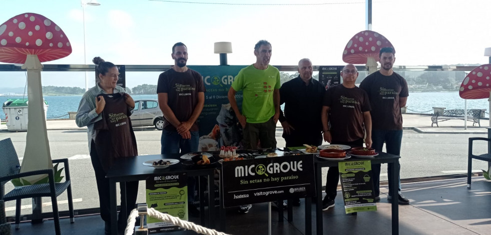 Trece platos diferentes para descubrir el sabor de las setas a través del evento Micogrove