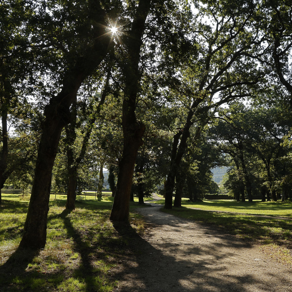 Caldas activa la maquinaria para licitar la mejora integral de la Carballeira, en la que se invertirán 1,5 millones