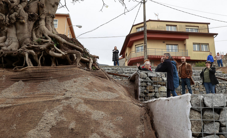 ¿Higuera sí o higuera no? Las dudas vecinales sobre el proyecto de Trabanca Sardiñeira