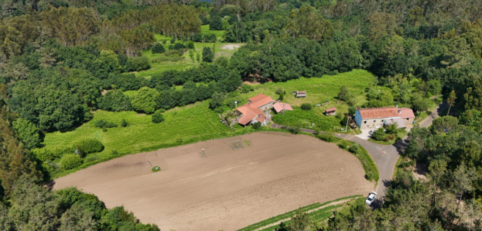 A Lei de recuperación da terra agraria mobilizou 10.000 hectáreas en Galicia