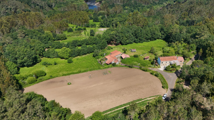 A Lei de recuperación da terra agraria mobilizou 10.000 hectáreas en Galicia