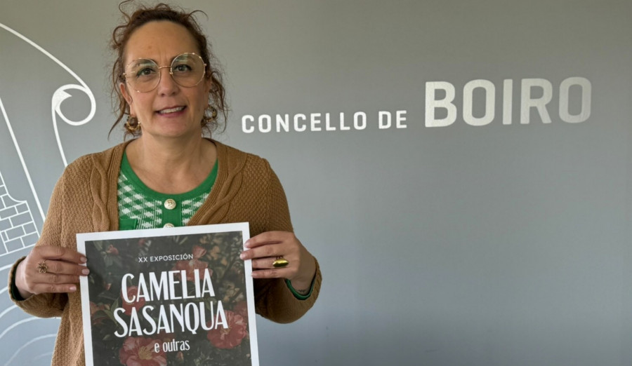 Un total de 28 expositores de Galicia y Asturias se darán cita este fin de semana en la XX Exposición da Camelia Sansaqua en Boiro