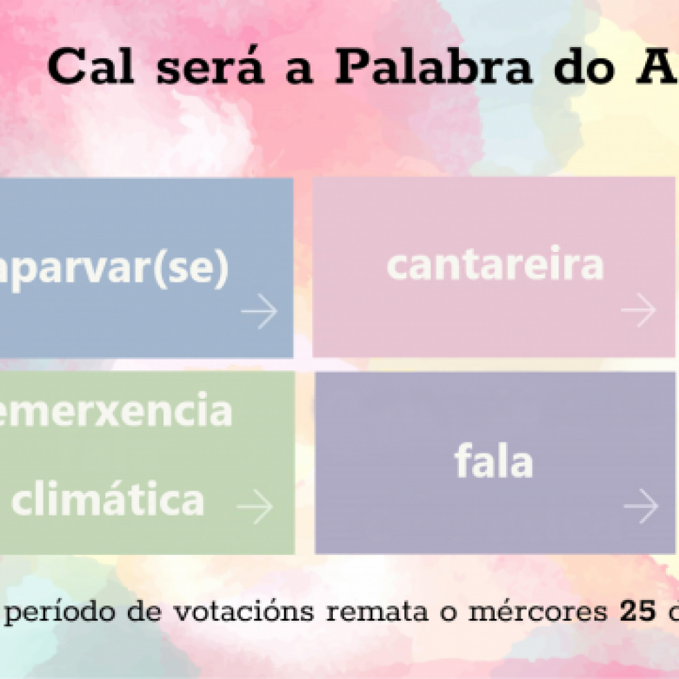 “Aparvar(se)”, “cantareira”, “dina”, “emerxencia climática”, “fala” e “meu”, finalistas na elección da Palabra do Ano 2024