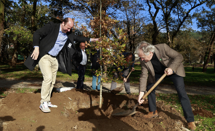 Caldas simboliza la recuperación de la Carballeira y el Xardín con la plantación de tres carballos