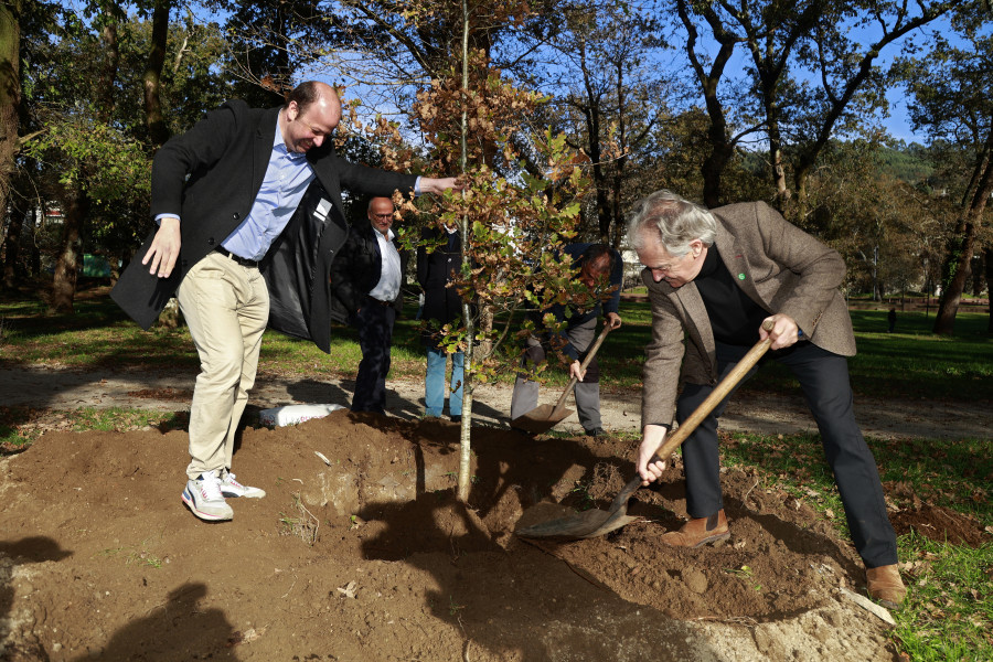 Caldas simboliza la recuperación de la Carballeira y el Xardín con la plantación de tres carballos