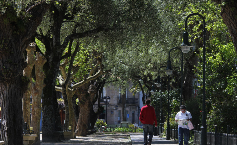 Cambados inicia contactos para poner a punto el proyecto y la financiación de la nueva Plaza de Abastos