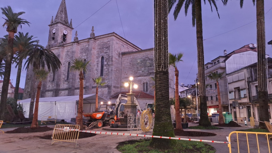 La plantación de catorce especies de palmeras recupera el esplendor de Santo Tomás