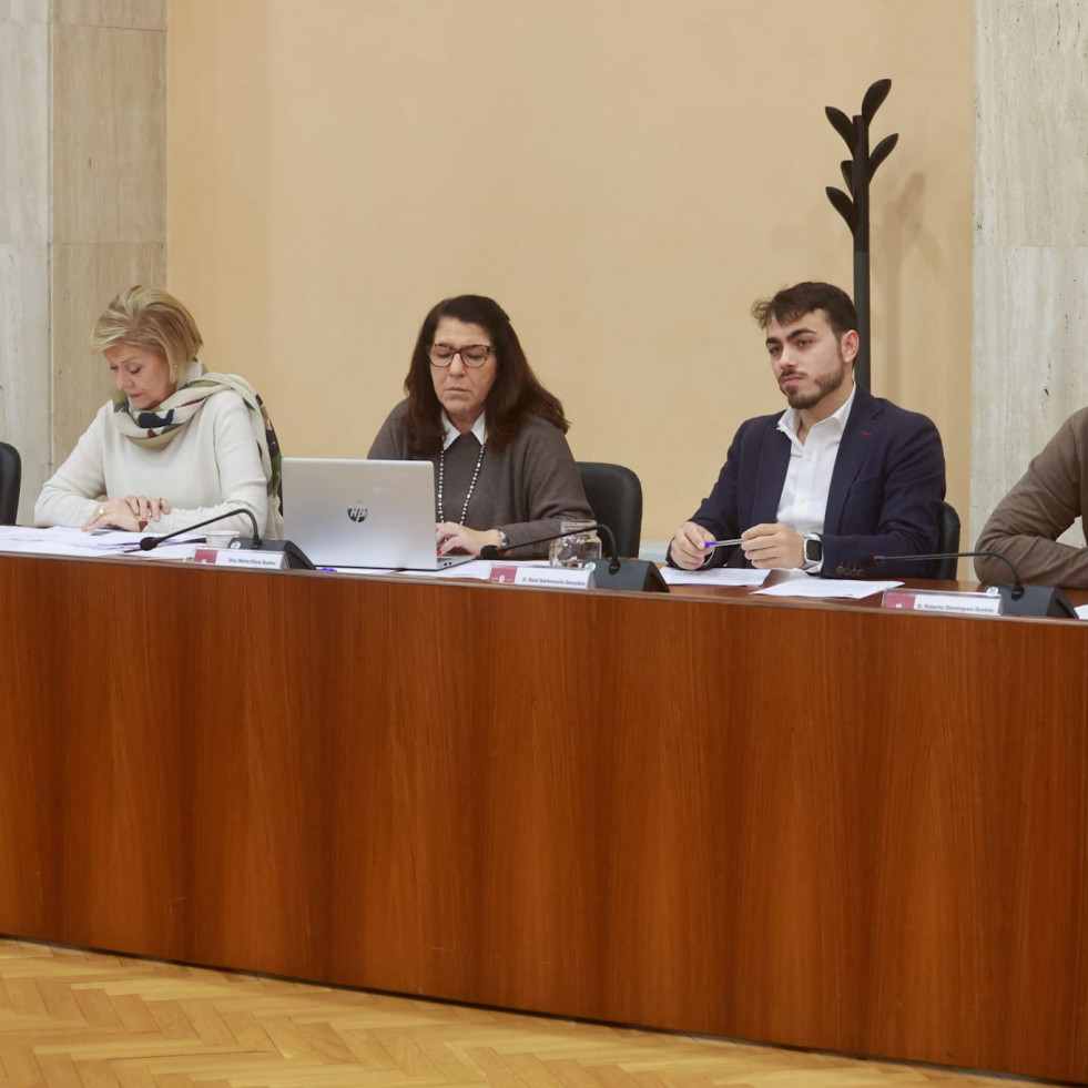 El PP de Vilagarcía reclama mantenimiento  de las zonas verdes “tamén despois de poñer o check de feito”