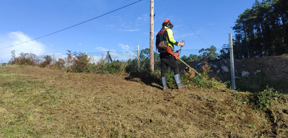 El Semilleiro de Emprego Rural apoyó a las Ecobrigadas en la restauración ambiental del antiguo trazado de la VG-11 en Boiro