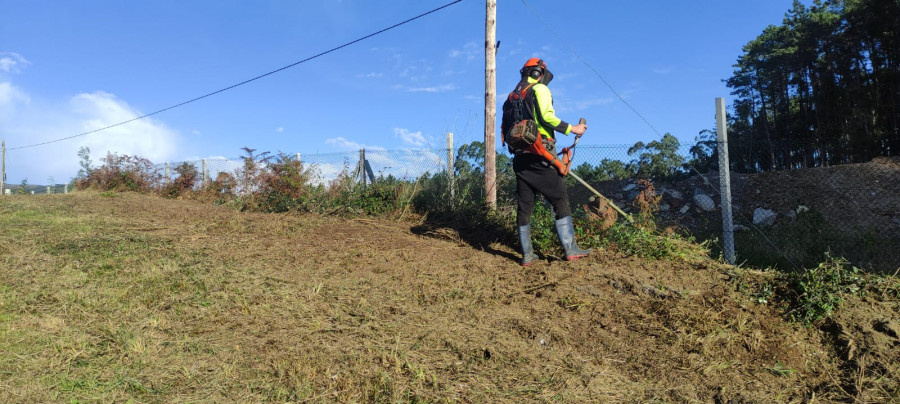 El Semilleiro de Emprego Rural apoyó a las Ecobrigadas en la restauración ambiental del antiguo trazado de la VG-11 en Boiro