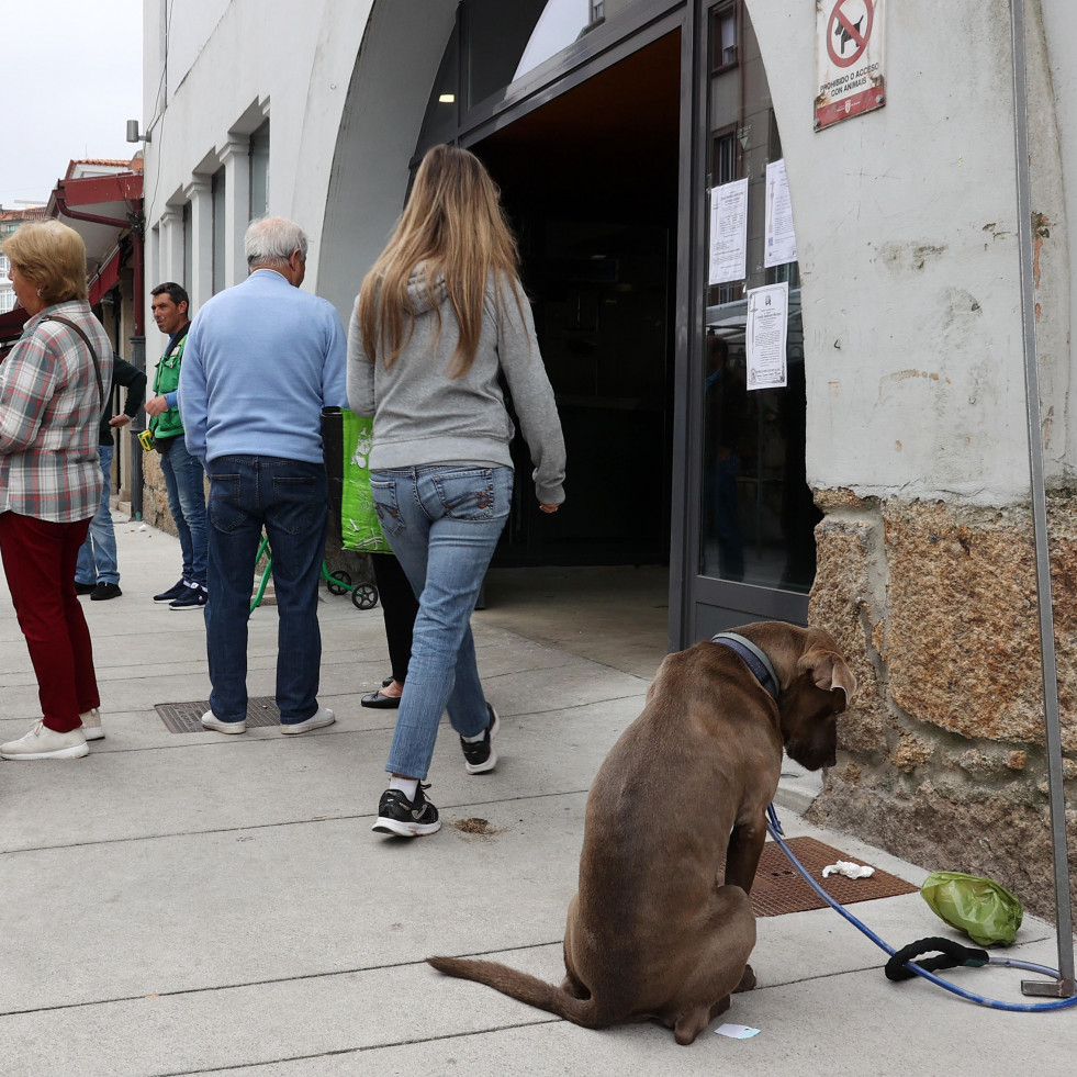 Las multas en la Praza de Vilagarcía reavivan las quejas por falta de aparcamiento