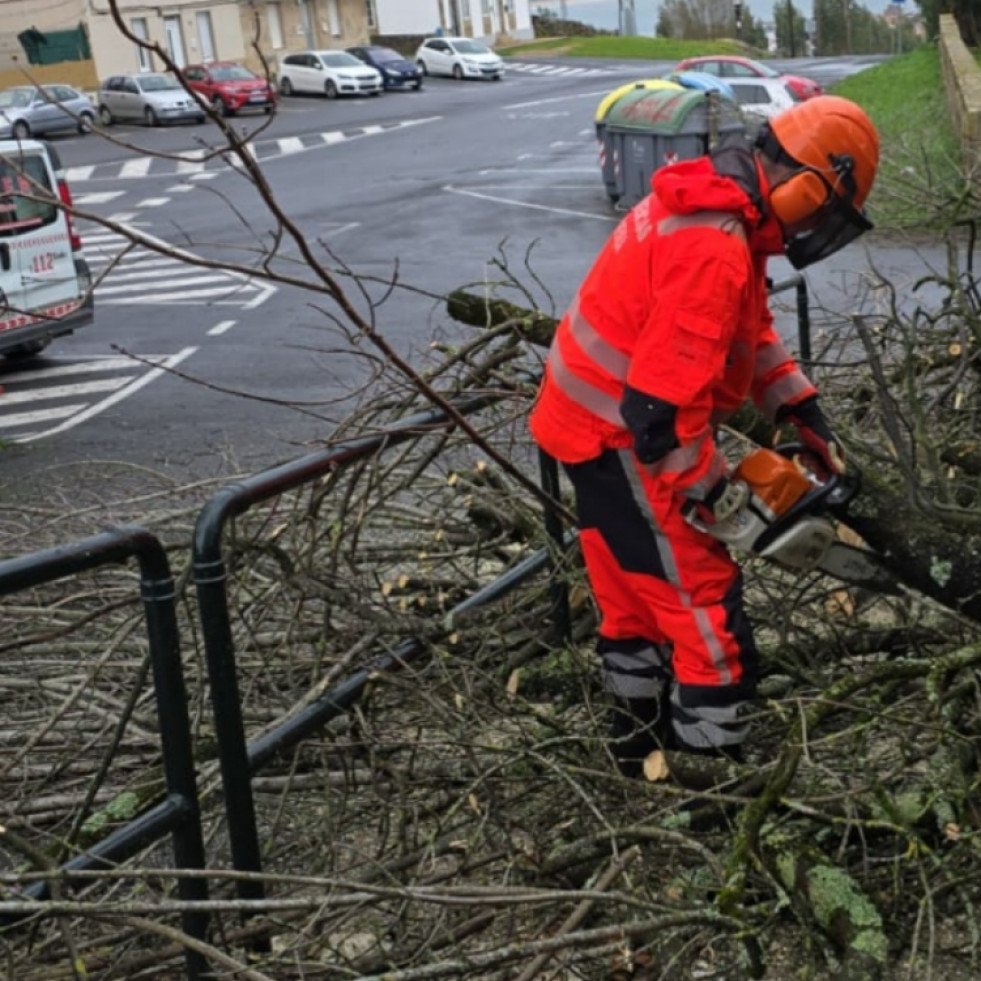 El mal tiempo provoca el derribo de un árbol en el muro y portal de la entrada del colegio de Frións, en Ribeira