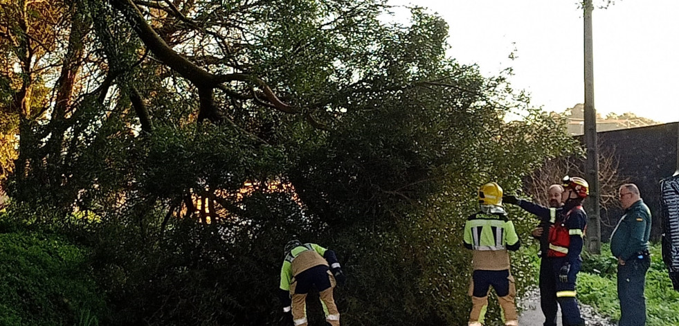 Los bomberos retiran un árbol de la carretera en Boiro