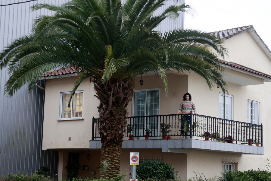 Una superviviente en Caldas: “Me daría mucha pena si mi palmera enferma, es un recuerdo familiar de 30 años”