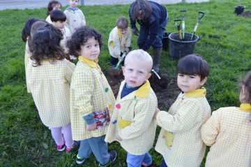 Plantar arboles colegio vilalonga alumnado