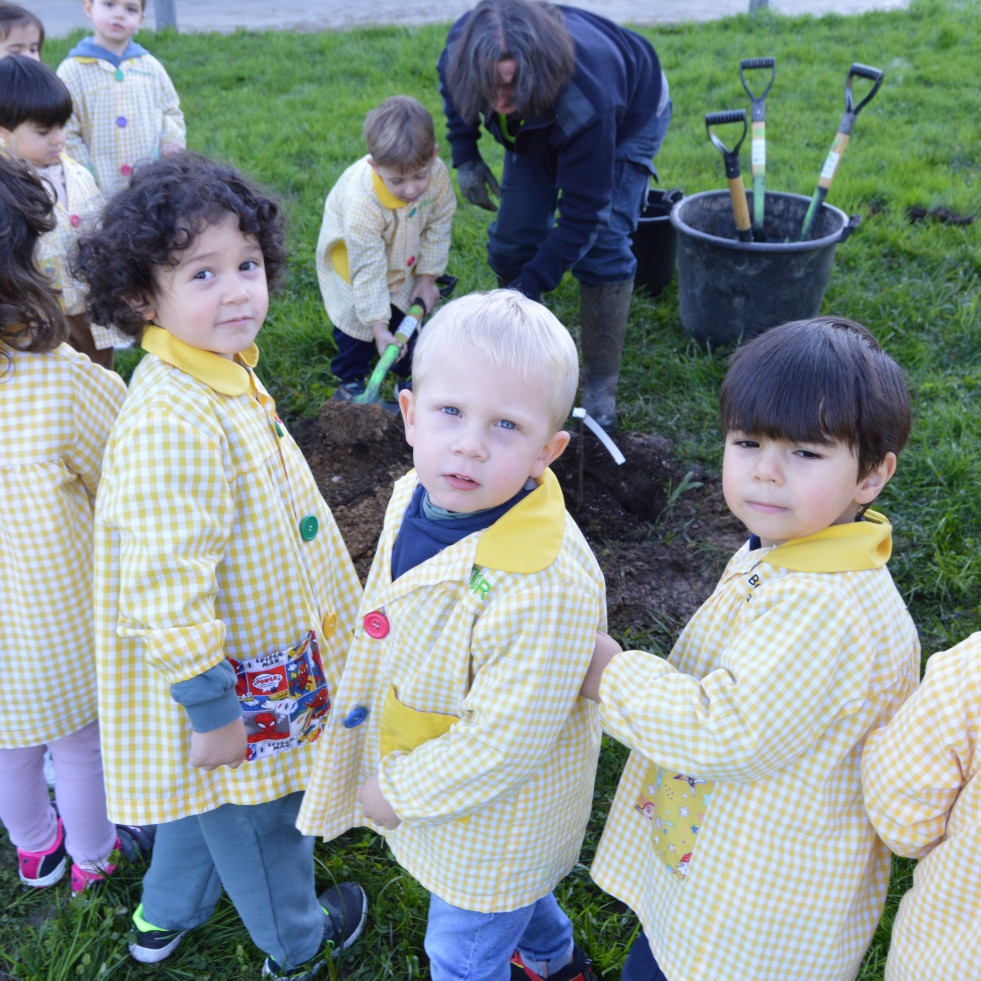 El patio del colegio Cruceiro, en Sanxenxo, luce nuevos árboles plantados por los alumnos