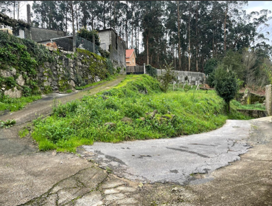 Castroagudín urge la reparación de un vial pegado al monte por el que no caben los camiones de bomberos