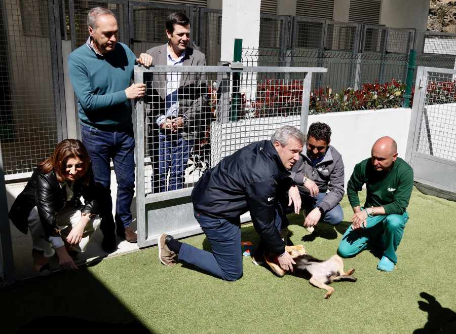 Elevan a más de un millón de euros el presupuesto del CAAN para mejorar la esterilización de gatos