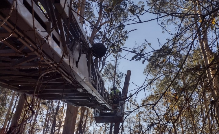 Los Bomberos invierten tres horas en retirar dos árboles con grave riesgo de caída en una pista municipal de O Araño