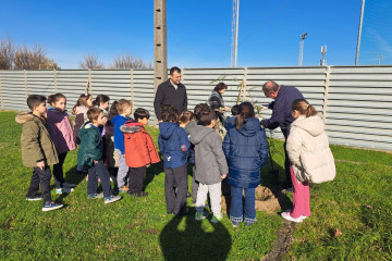 Plantar arboles colegio sanxenxo