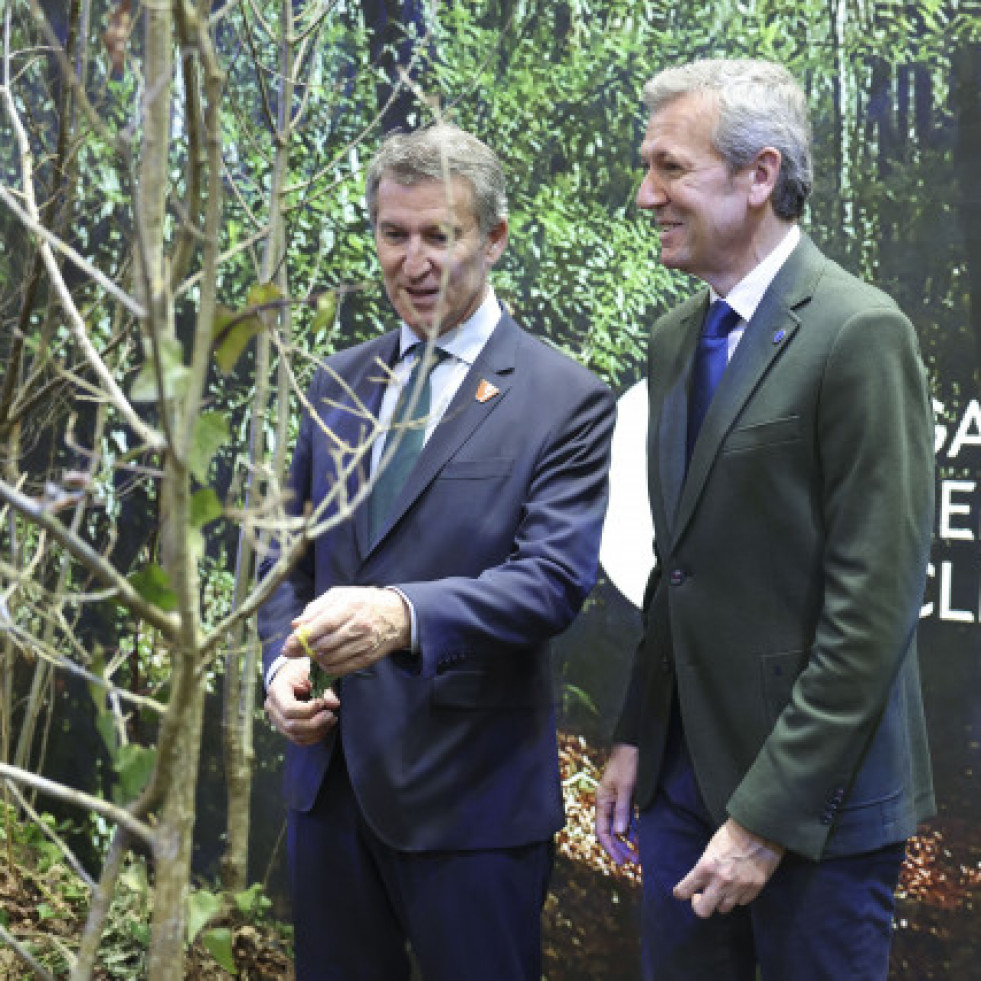 Biodiversidade, sustentabilidade e paisaxe: Galicia véndese en Fitur como ‘Refuxio Climático’