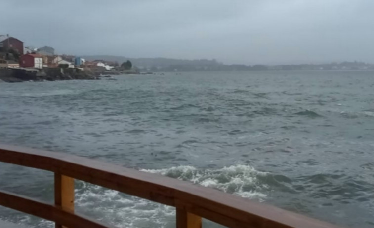 Registrado un nuevo vertido de hidrocarburo en la playa de A Ribeiriña que brota entre la arena y el muro de contención