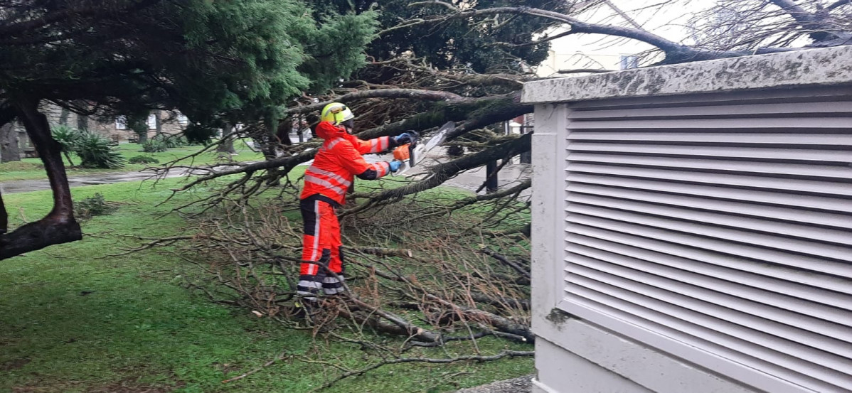 Ribeira temporal arbol caido