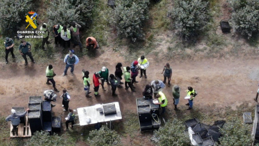 Investigadas tres personas por la contratación de temporeros en situación irregular en una explotación agrícola de Lugo