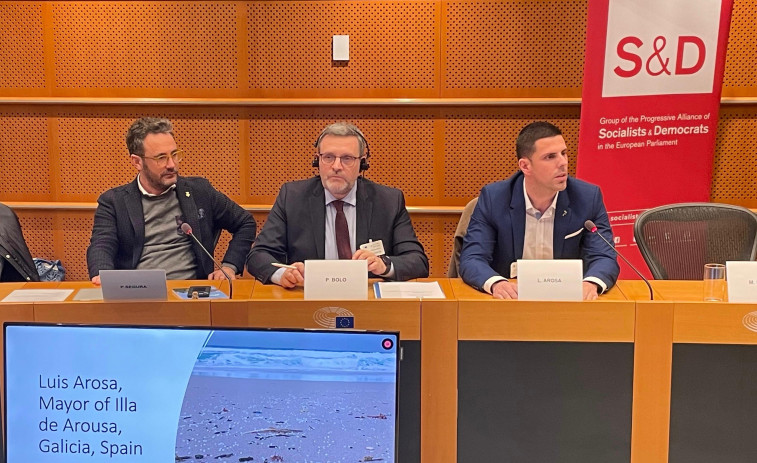 Arosa insiste en el Parlamento Europeo para armar medidas frente a los pellets