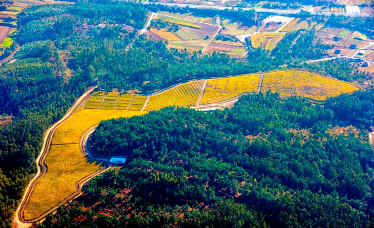 Bodegas Martín Códax creará la primera planta de agrocompostaje de O Salnés abierta a los concellos