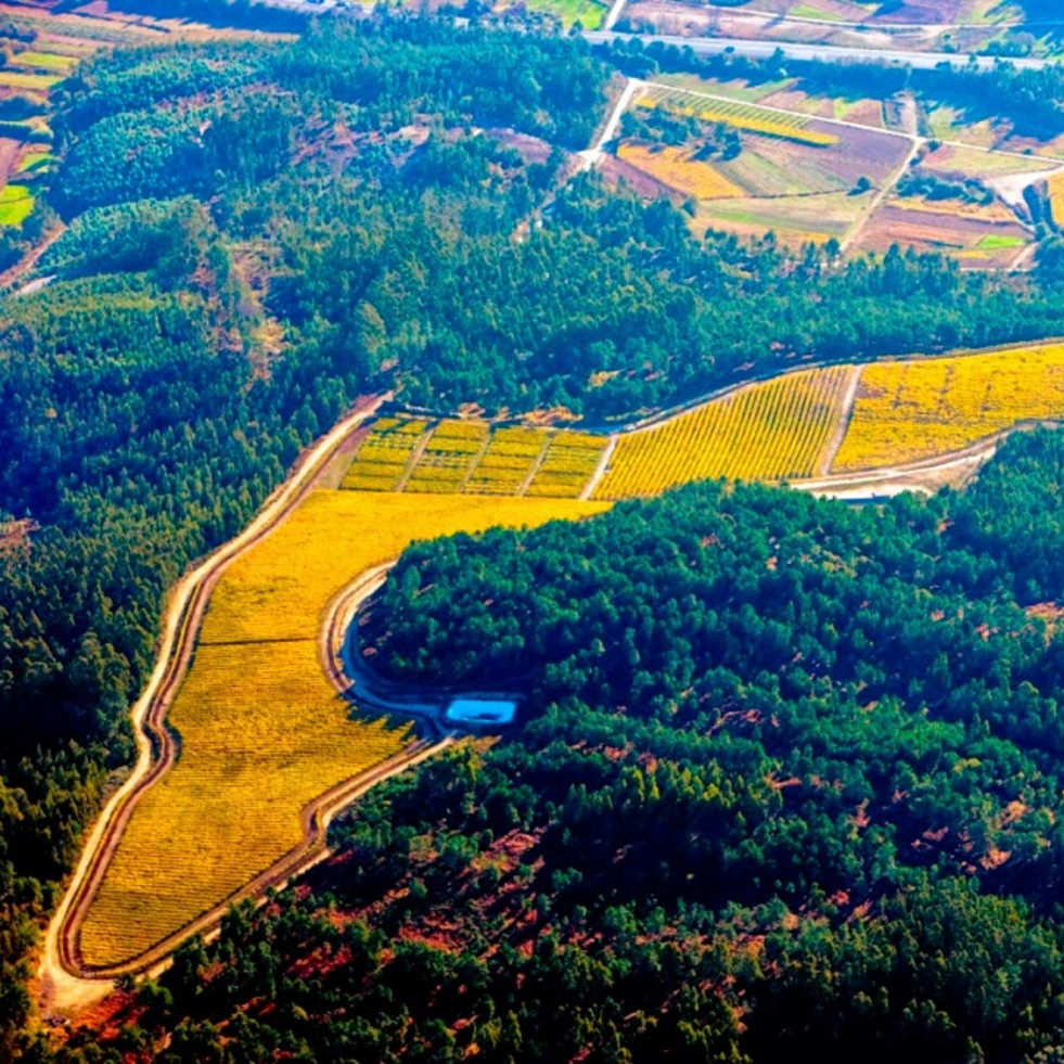 Bodegas Martín Códax creará la primera planta de agrocompostaje de O Salnés abierta a los concellos