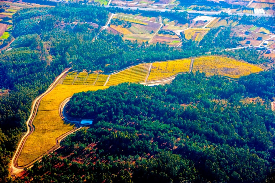 Bodegas Martín Códax creará la primera planta de agrocompostaje de O Salnés abierta a los concellos