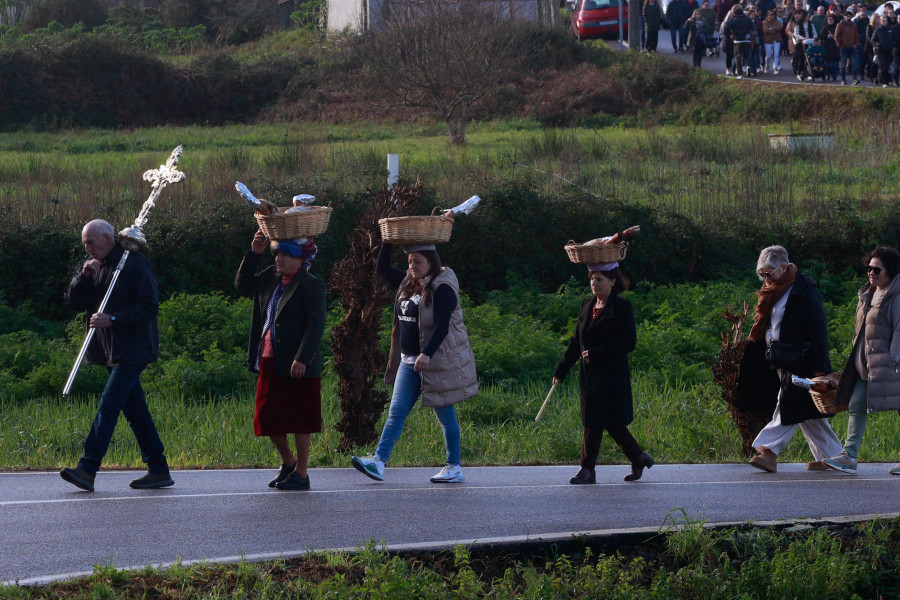 Cordeiro vive una multitudinaria Procesión dos Lacóns con una docena de ofrendas