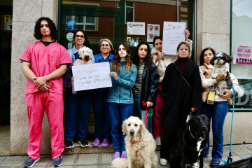 Protesta clínica veterinaria nueva ley