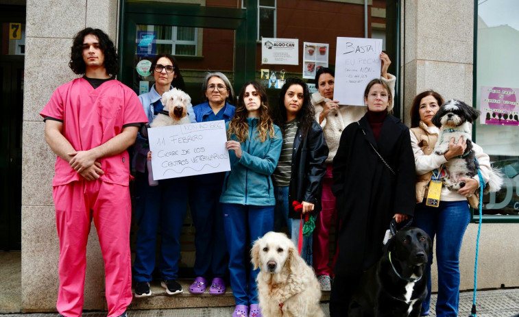 Rebelión de los veterinarios de Arousa contra una ley que “pone en duda nuestro criterio”