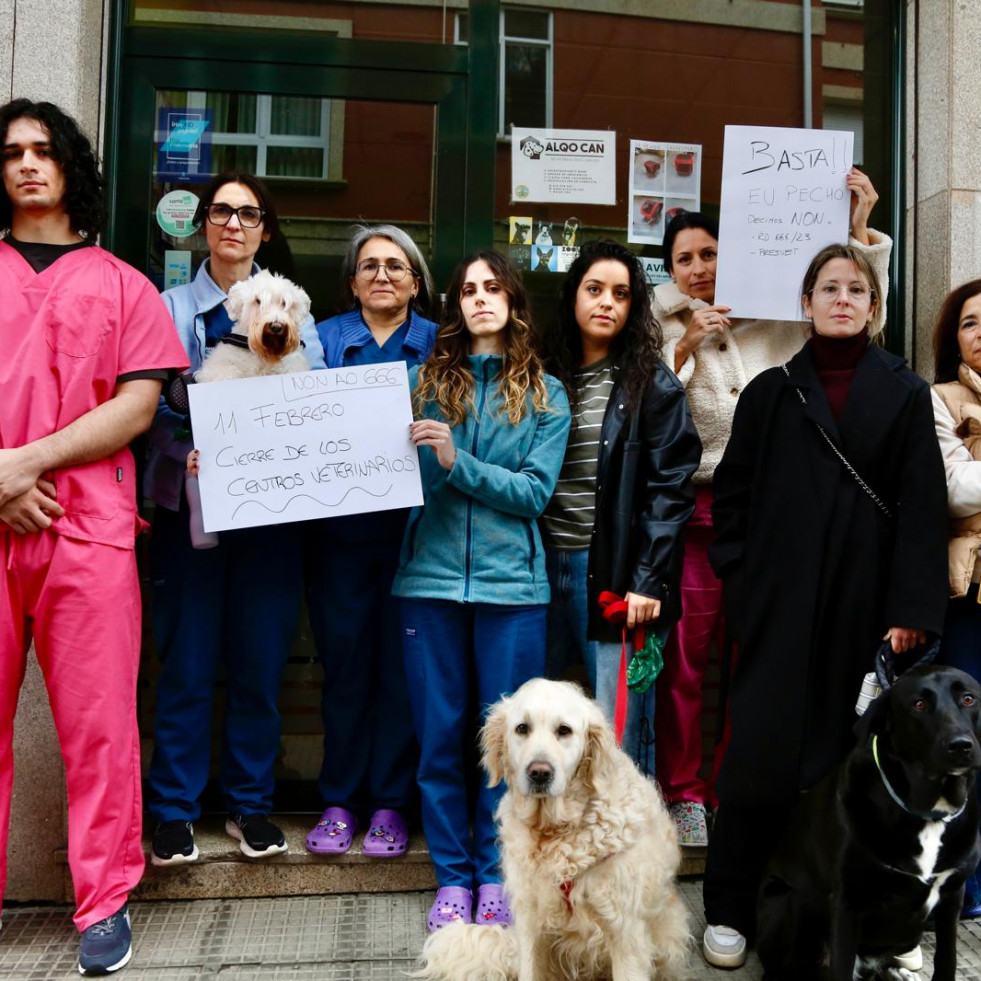 Rebelión de los veterinarios de Arousa contra una ley que “pone en duda nuestro criterio”