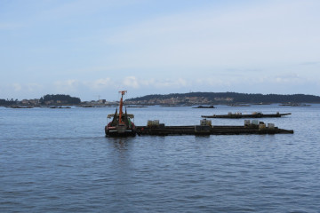 Batea ria de arousa