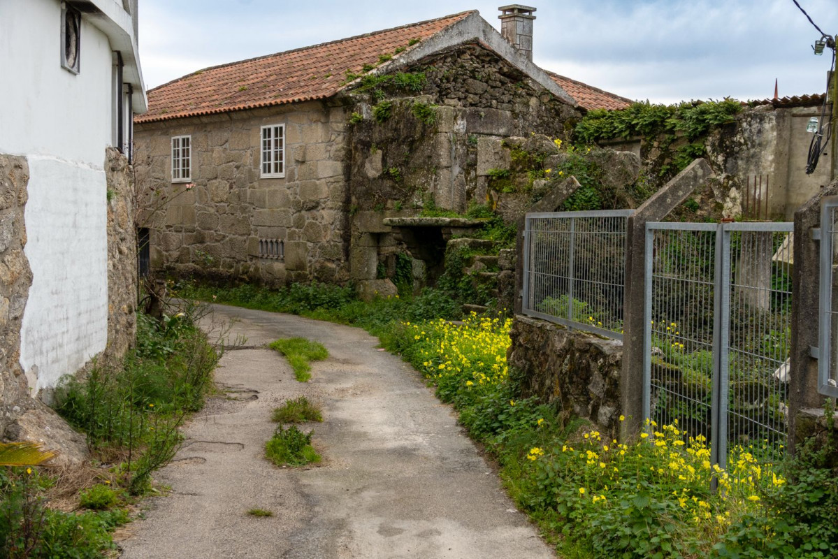 Humanizacion padrinan sanxenxo (1)