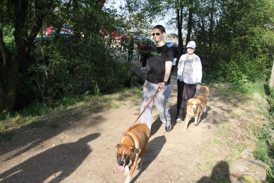 La Variante Espiritual se abre al turismo petfriendly con el "Camino Perregrino"