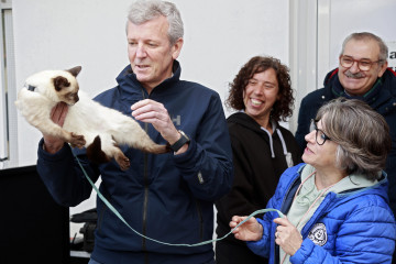 Alfonso rueda protectora animales vilagarcía