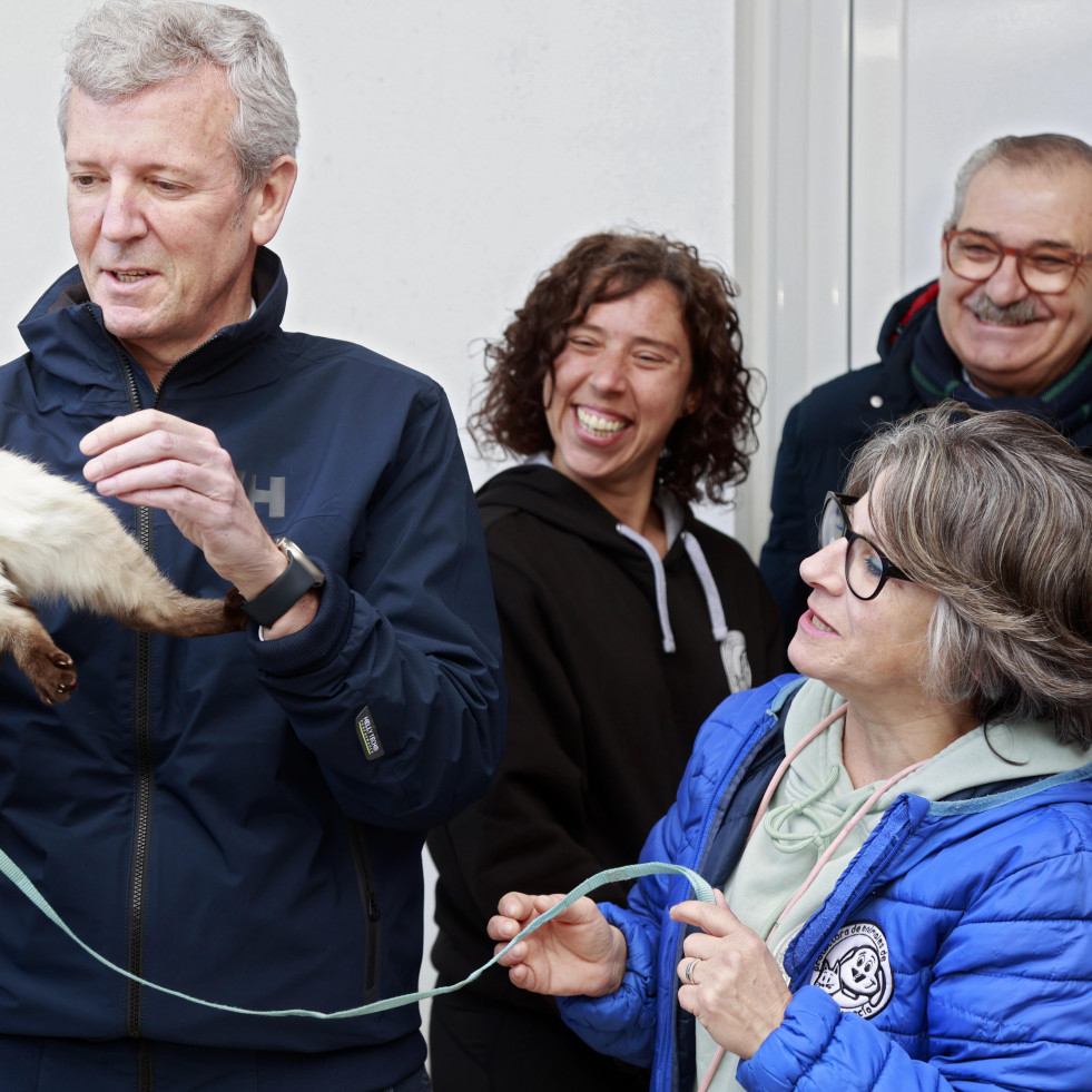 Dejad que los animales se acerquen a mí