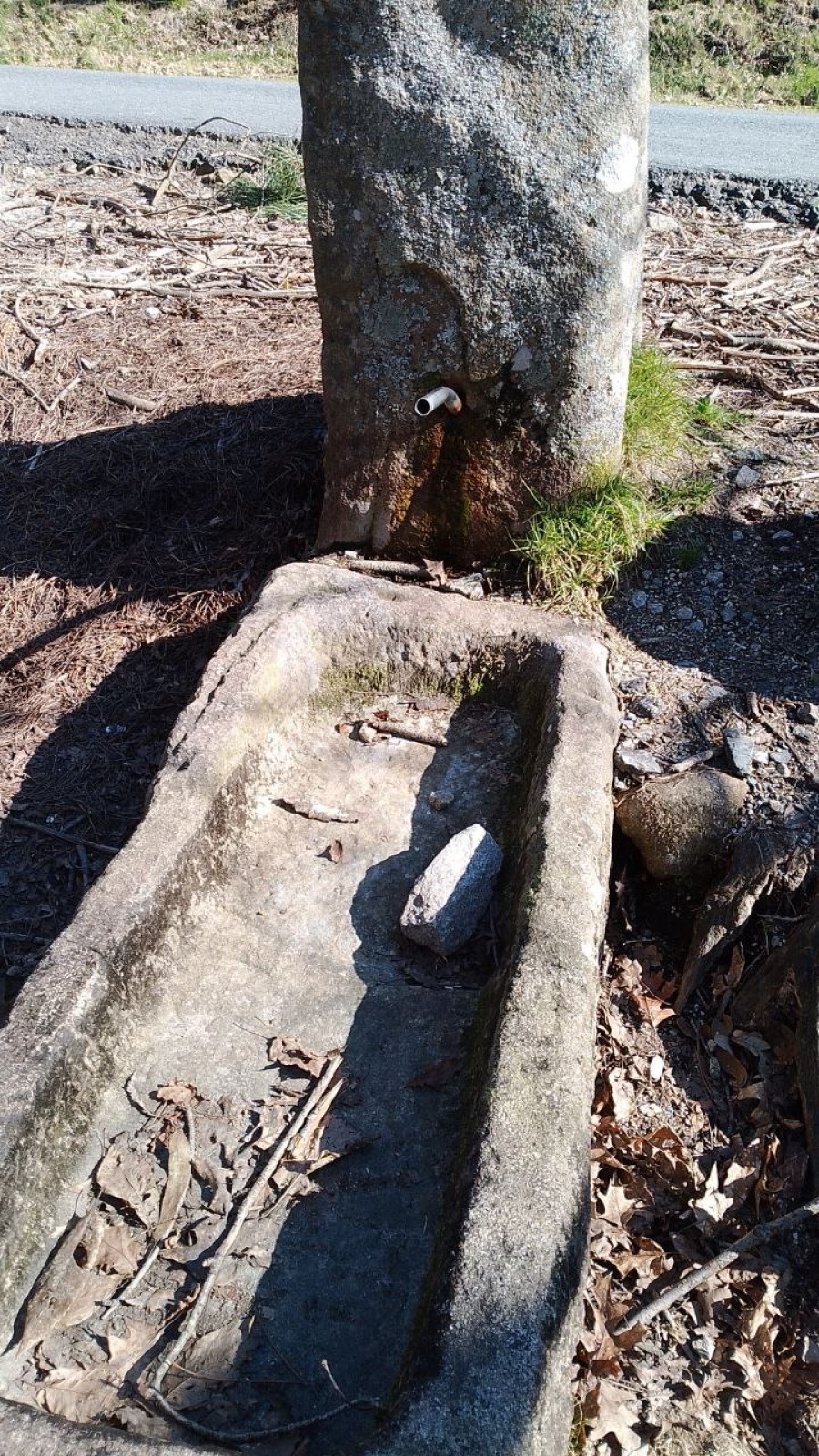 Fajardo denuncia el abandono del parque forestal de Fontefría y exige al gobierno que actúe ya