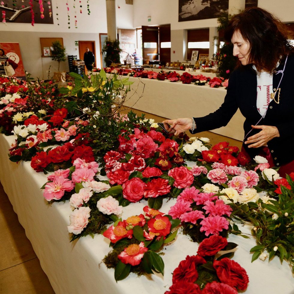 Carmen Moldes y Juan Castro, de Baión, se quedan con la Camelia de Ouro de Cambados