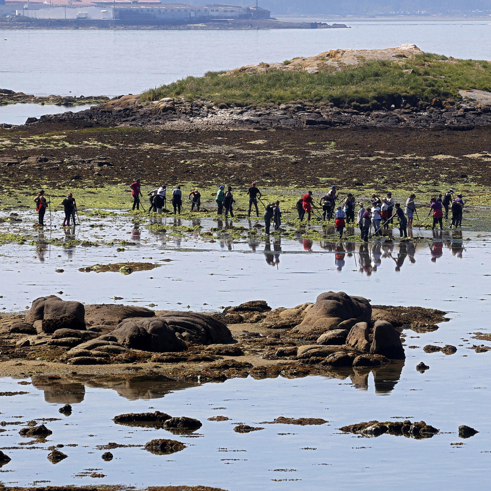 Arousa sigue con el goteo de bajas en el marisqueo a pie, que perdió 200 permex en dos años