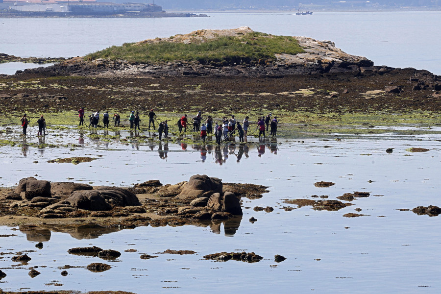 Arousa sigue con el goteo de bajas en el marisqueo a pie, que perdió 200 permex en dos años