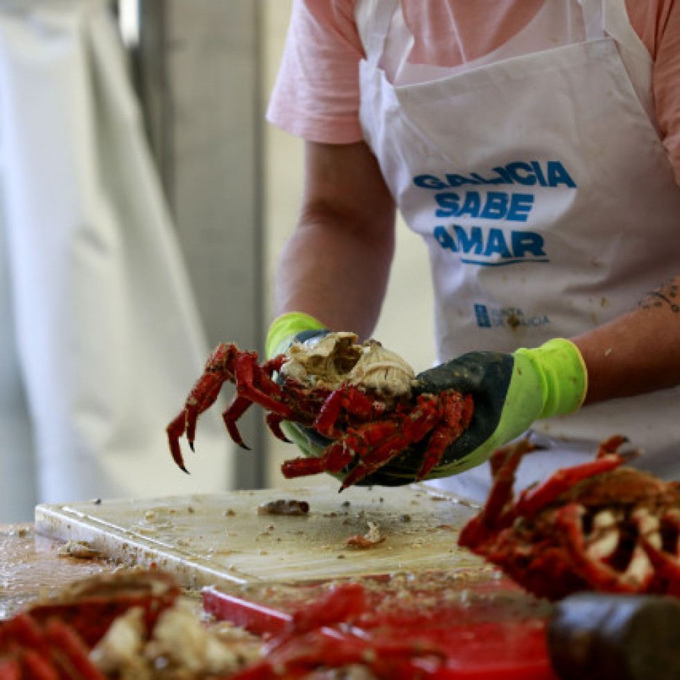 Gardacostas de Galicia realizou máis de 1.700 comisos nos dous primeiros meses do ano